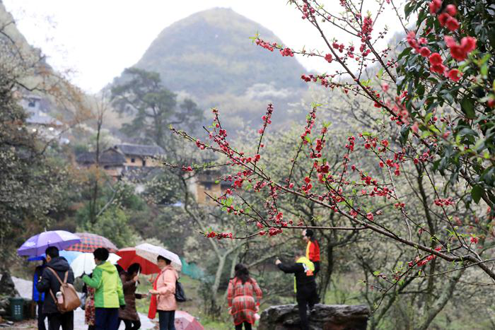 柳州融安:“空巢村”變身旅遊勝地