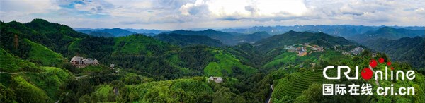 【A】廣西淩雲縣：茶山金字塔生態農業旅遊不斷完善