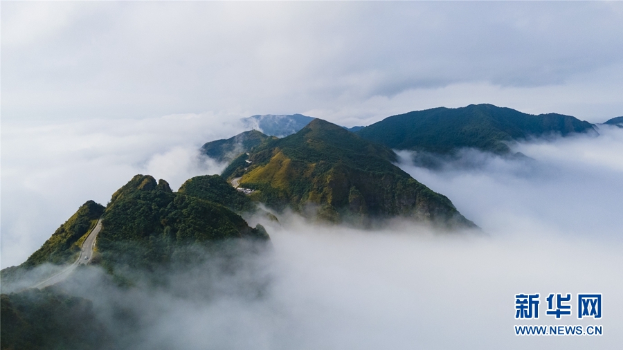 廣西大明山：秋雲成海 蔚為壯觀