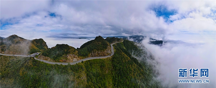 廣西大明山：秋雲成海 蔚為壯觀