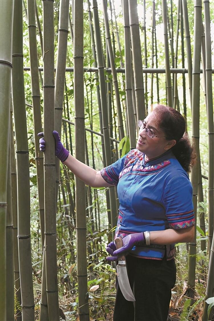 織好花竹帽 摘掉貧困帽 ——記國家級非遺傳承人譚素娟