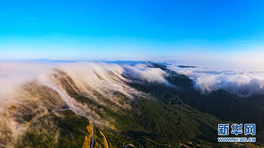 廣西大明山：秋雲成海 蔚為壯觀