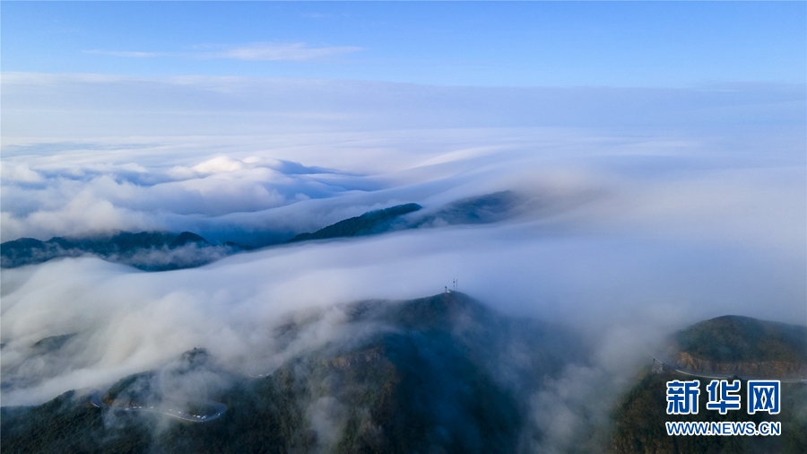 廣西大明山：秋雲成海 蔚為壯觀