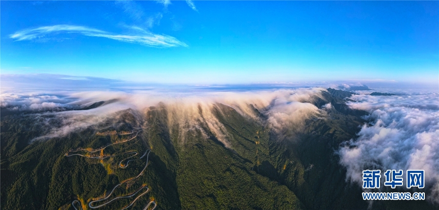 廣西大明山：秋雲成海 蔚為壯觀