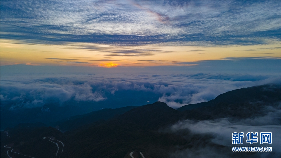 廣西大明山：秋雲成海 蔚為壯觀