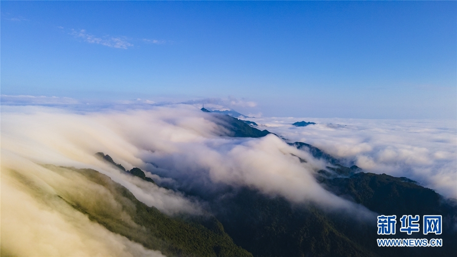 廣西大明山：秋雲成海 蔚為壯觀