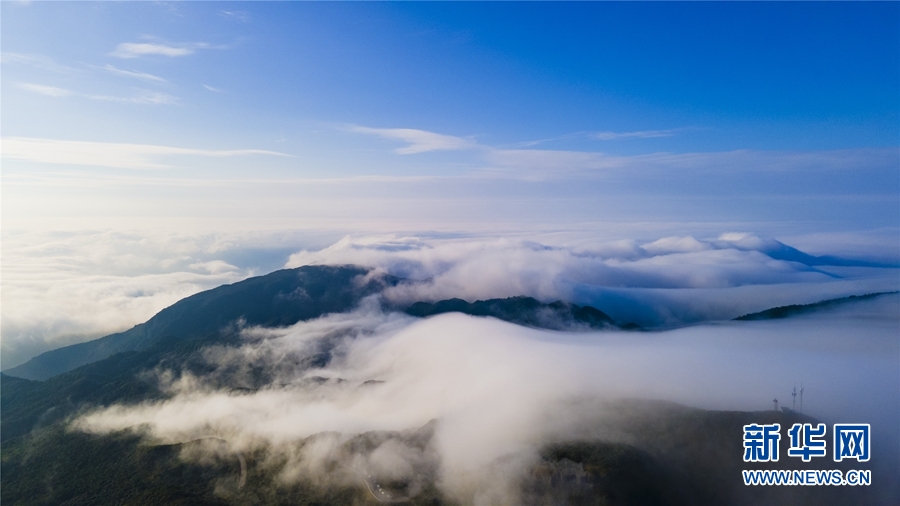 廣西大明山：秋雲成海 蔚為壯觀