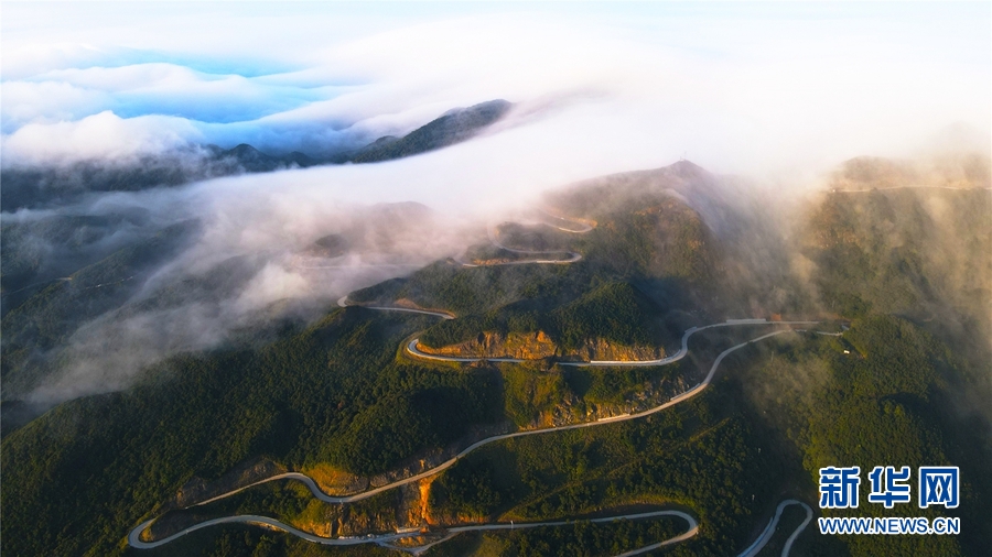 廣西大明山：秋雲成海 蔚為壯觀