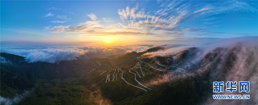 廣西大明山：秋雲成海 蔚為壯觀