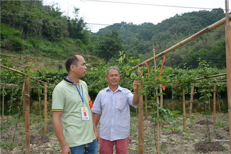 【B】廣西北流市：千名幹部活躍在扶貧一線_fororder_WechatIMG5085