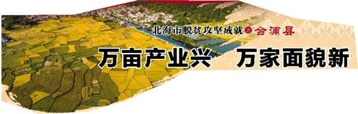 北海市脫貧攻堅成就之合浦縣 萬畝産業興 萬家面貌新