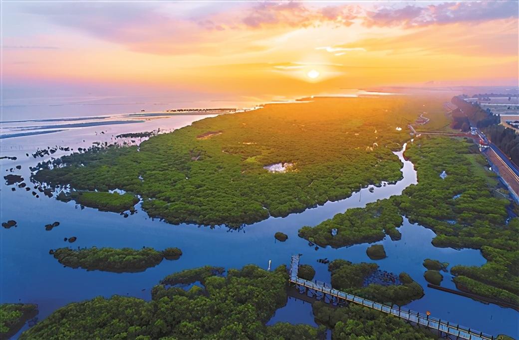 國土生態修復的生動實踐 ——北海市馮家江治理的前世今生