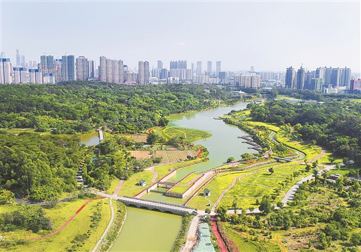 南寧沙江河濕地公園進入運營和維護階段