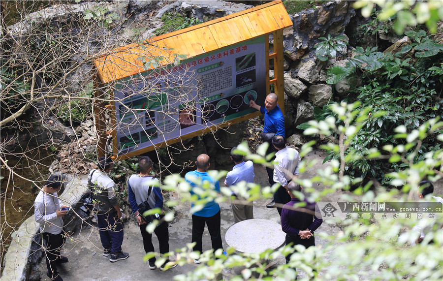 高清組圖：廣西融安生態旅遊助脫貧