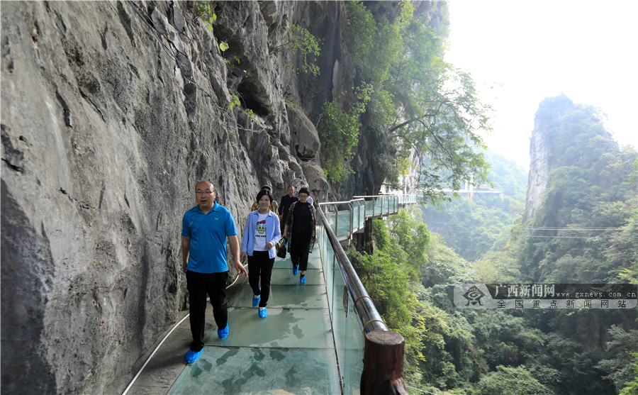 高清組圖：廣西融安生態旅遊助脫貧