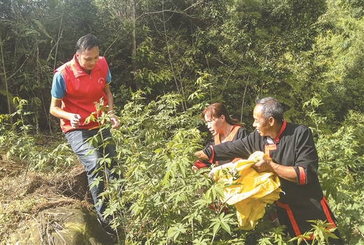 “農旅聯姻”奔富路