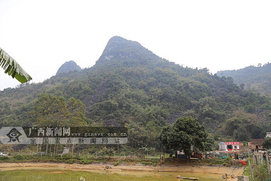 大化百力山獼猴觀光旅遊扶貧項目開工