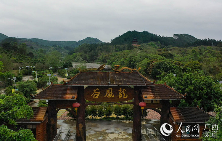 南寧良慶區：生態旅遊促發展 農旅融合再升級