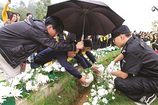 綠色殯葬樹新風 節儉治喪惠民生