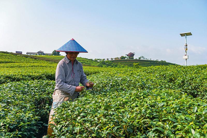 南寧市上林縣 綠色崛起生態興縣 擦亮秀美“上林名片”