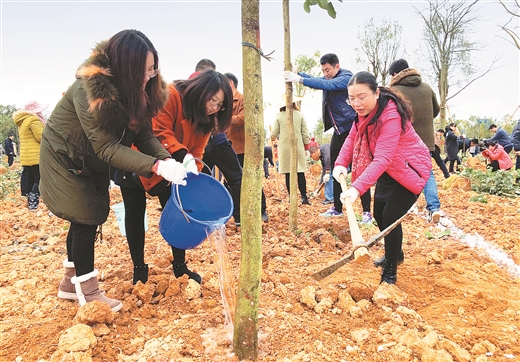 柳州市舉辦新春植樹團拜活動