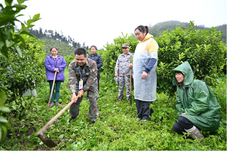 廣西田林：晚熟砂糖橘拓寬貧困群眾增收渠道