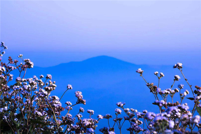 “中國氧都”上思縣：雲山霧海   壯美無比