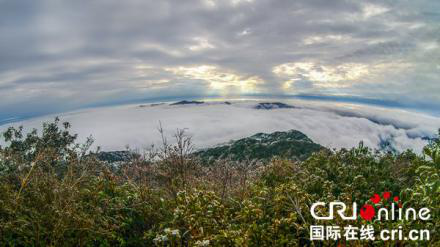 桂西之巔冬日別有一番風景