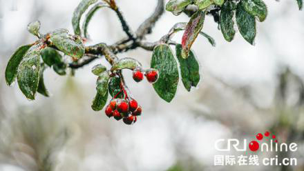 桂西之巔冬日別有一番風景