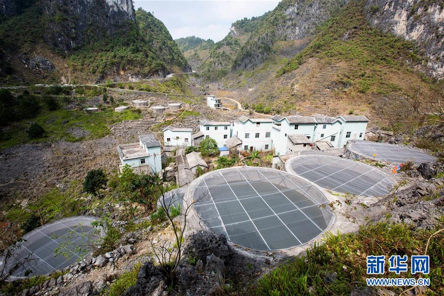 廣西鳳山：推進水櫃建設 助力飲水保障