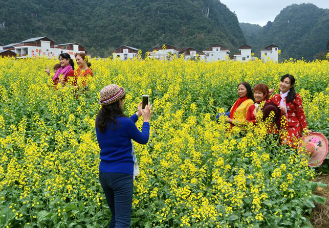 百色市田陽縣巴某村的華麗蛻變