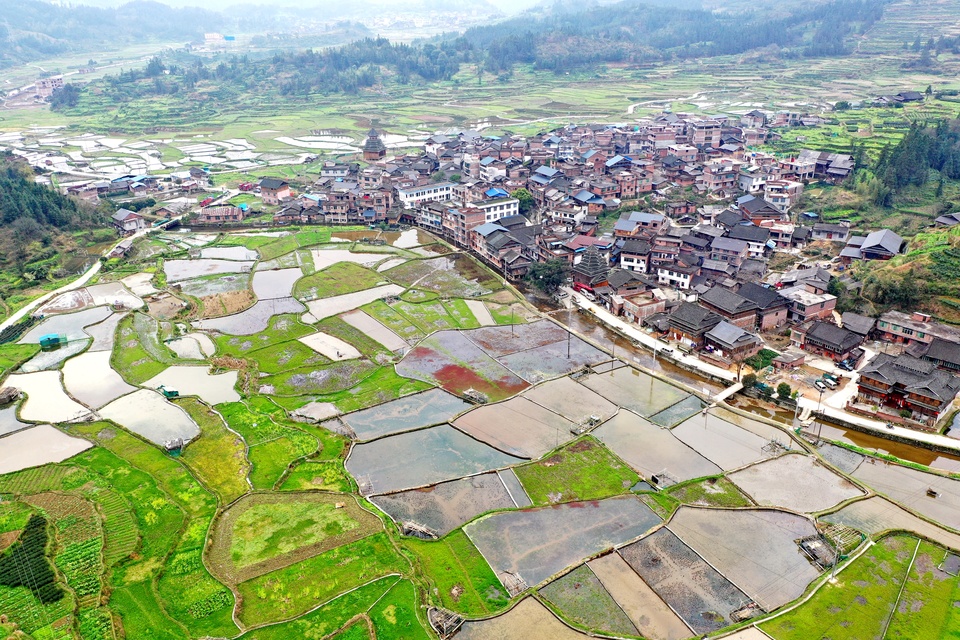 【圖中含春耕、茶葉生産、繭絲綢生産、木衣架生産、臍橙種植，這些産業都涉及農業】【茶葉的圖是在室內車間加工，不是採摘茶葉】【農業在“奔跑”】廣西少數民族自治縣復耕復産影像集