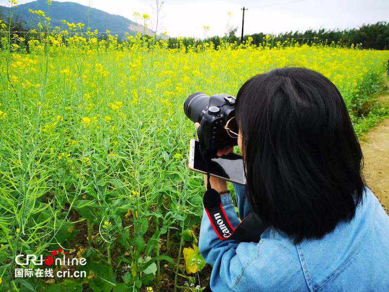 防城港東興：油菜花帶動鄉村旅遊熱 村民年人均純收入達6000元