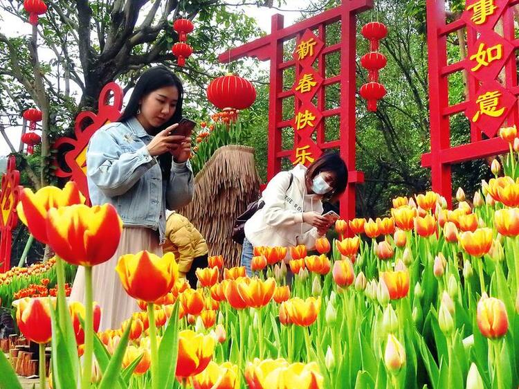 繁花似錦春意鬧