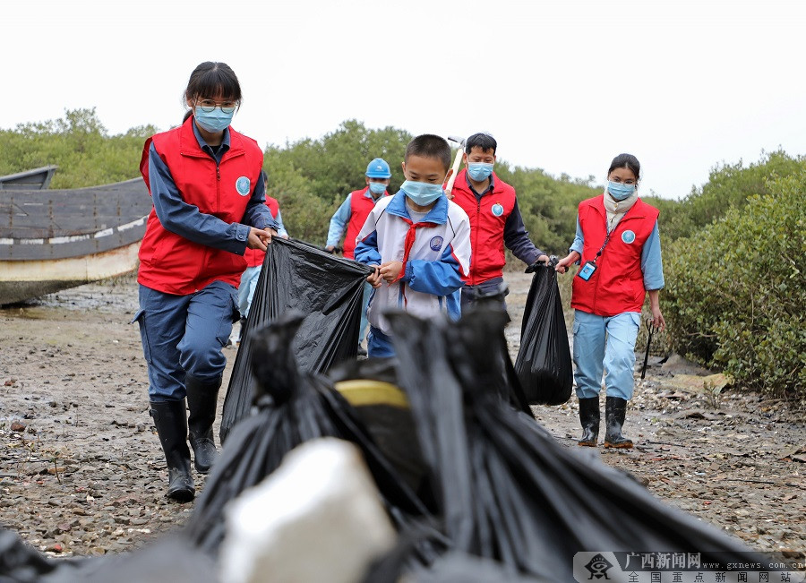 碧海紅樹白鷺飛－－記南方電網紅樹林白鷺保護隊9年守護廣西北部灣生態環境