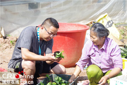 南寧一公職人員創業成“百香果種植大王”  帶動家鄉脫貧致富