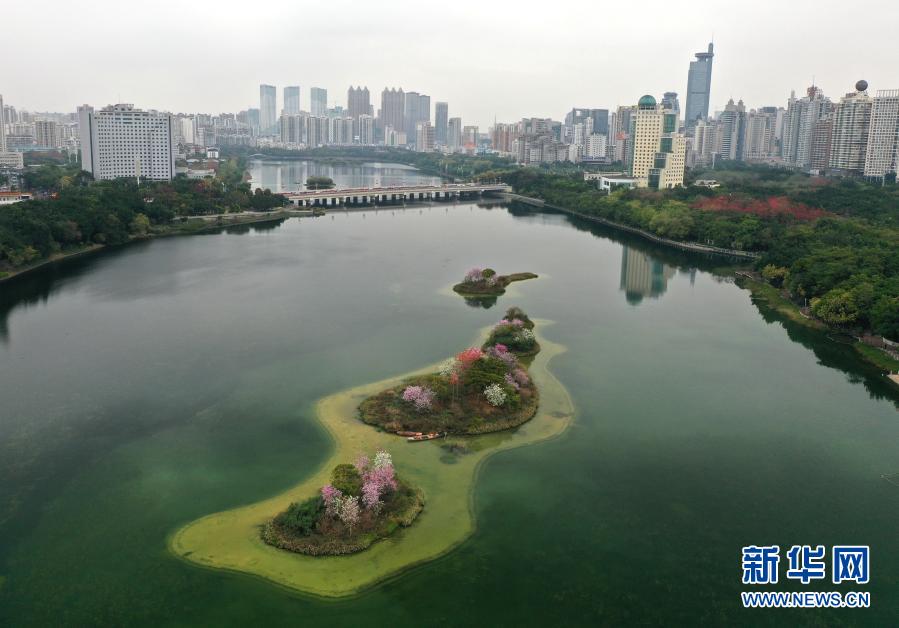 一湖春水鮮花紅