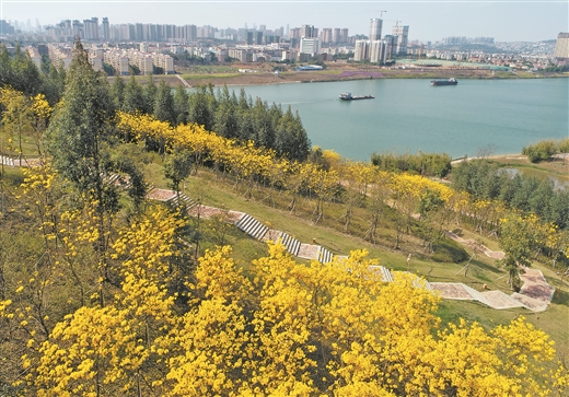 春暖花開 萬物復蘇