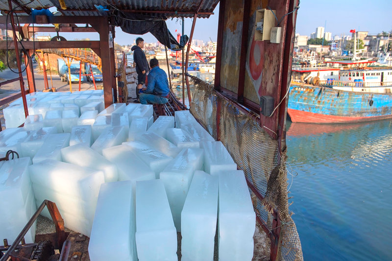 廣西北海：漁民“揚帆”出海忙