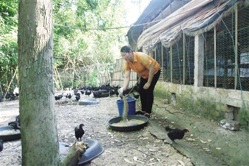 一心撲在産業上　用心用情扶貧傳佳話