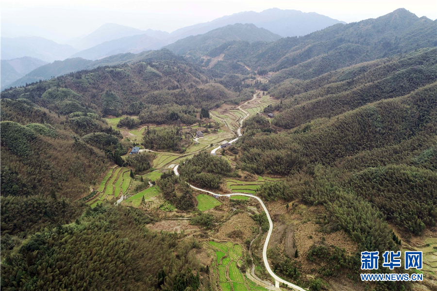 高山特産助農增收