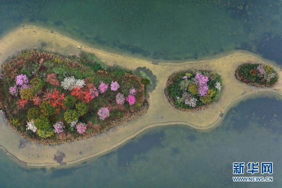 一湖春水鮮花紅