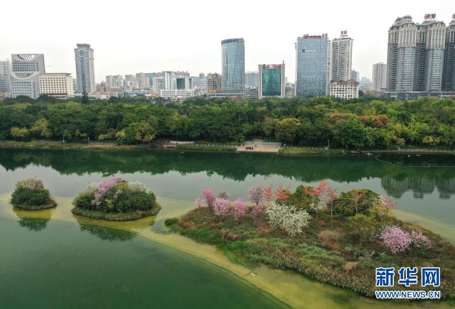 一湖春水鮮花紅