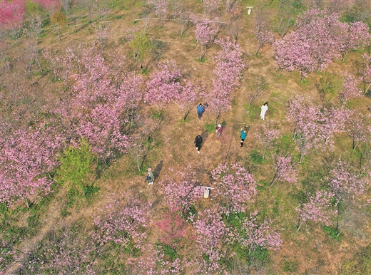 春暖花開 萬物復蘇