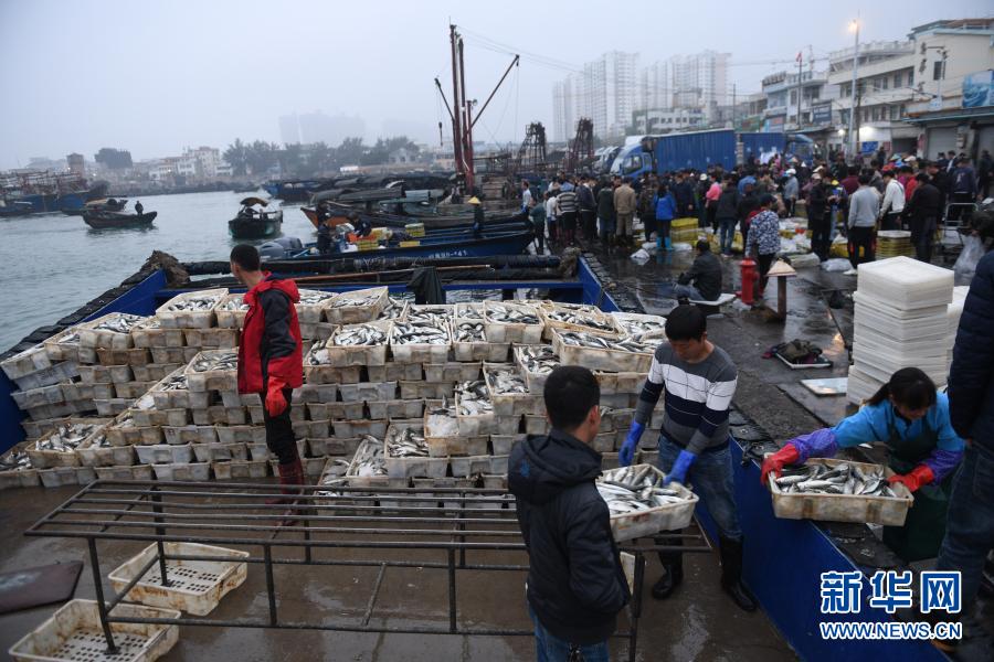 廣西北海：新春魚市旺