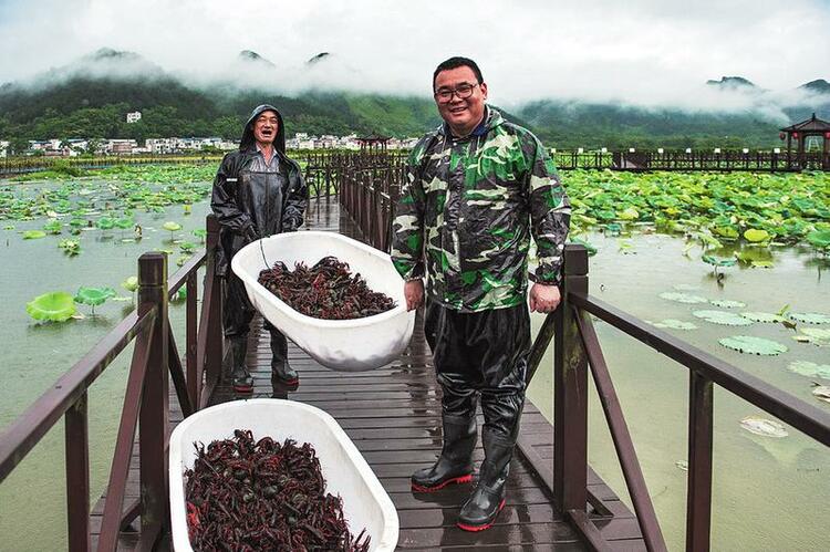 紮根鄉土振興經濟 帶領群眾同奔小康 ——上林縣積極實施創業致富帶頭人培育工程