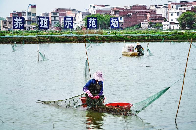 廣西上林：發奮圖強開新局 乘勢而上求突破