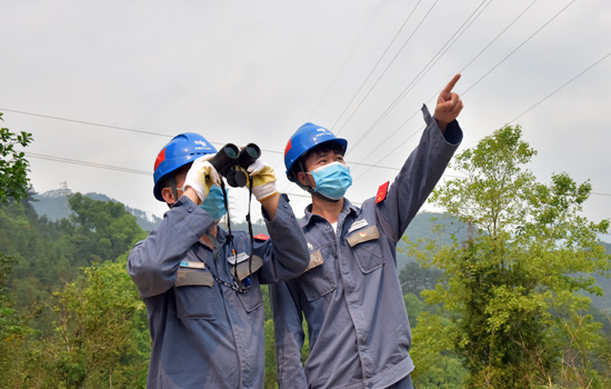 廣西憑祥：邊境線上巡線班 邊貿復産保供電