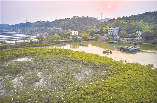 壯鄉生態美 山海百鳥歡