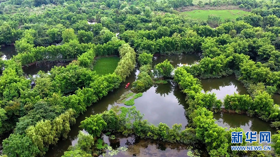 到桂林會仙濕地感受漓江流域生態之美